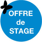 OFFRE_STAGE