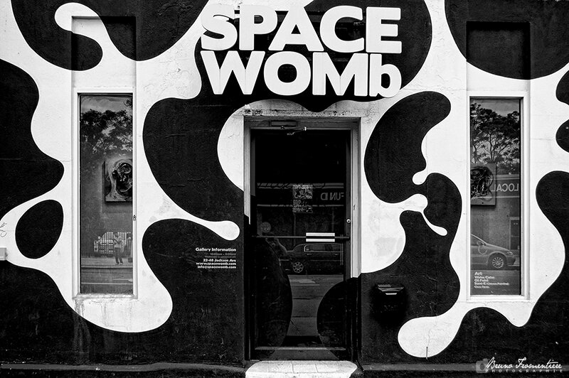 SpaceWomb 800