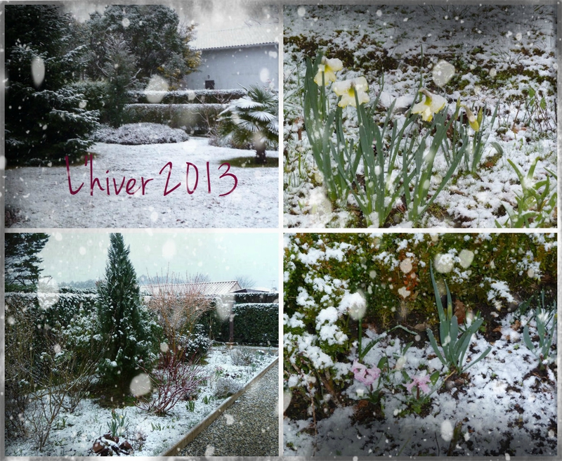 hiver2013