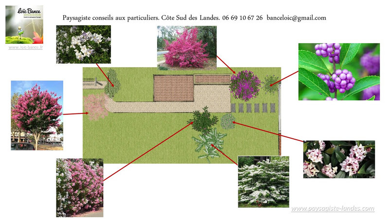 Paysagiste-Saint-Martin-de-Seignanx-Paysagiste-Landes-Avril-2022-27