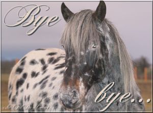 bye_bye_cheval_creuse