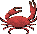 crabes_009