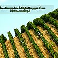 🍷Découvrez et suivez toutes les actualités de la découverte de vins français et d'ailleurs !🍷