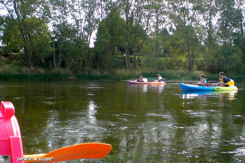 La loire en canoë entre Jargeau et Orléans