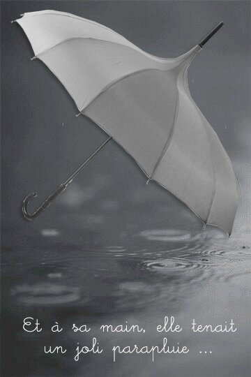 parapluie-pagode-gris
