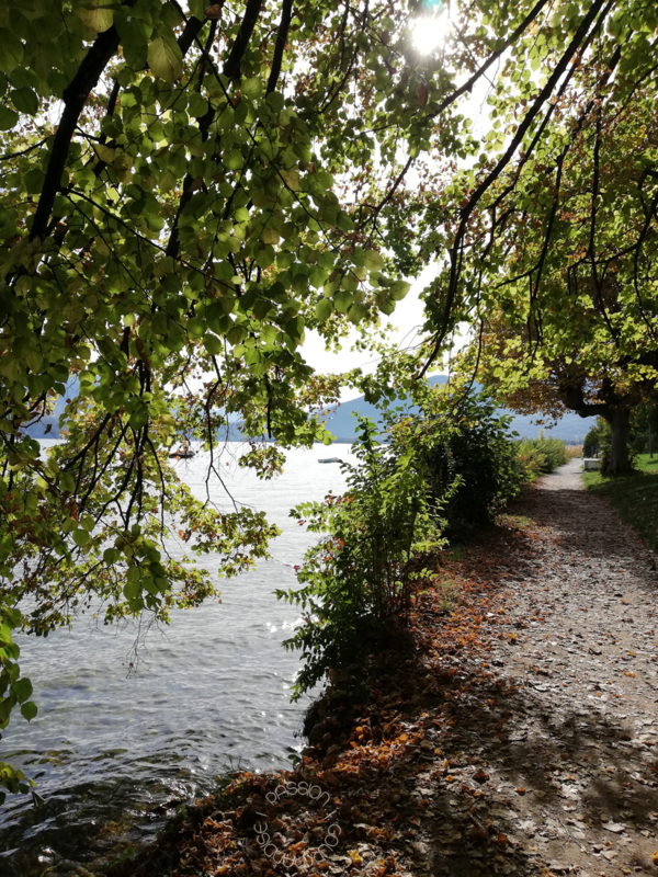 Annecy 2020_29