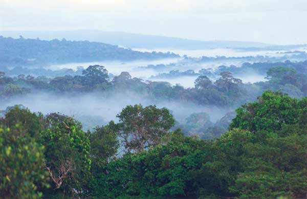 Guyane_fr_savane-roche_virginie