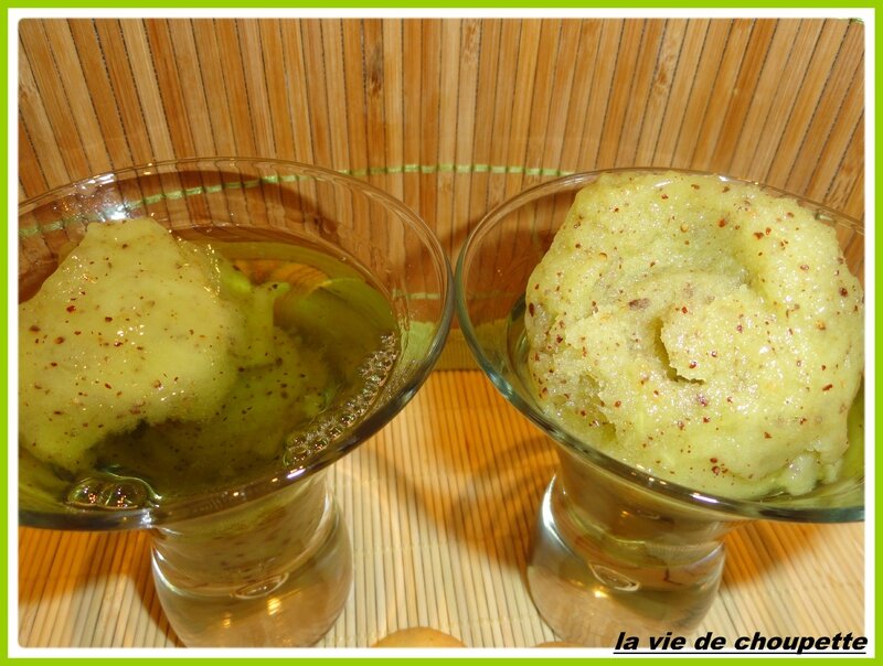 sorbet kiwi-15