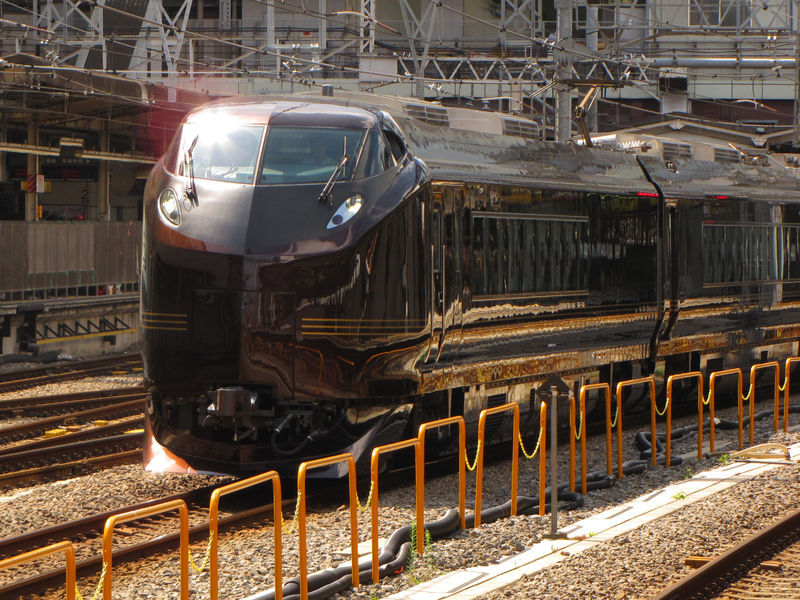 '和 Nagomi' JR E655系, Shinjuku station