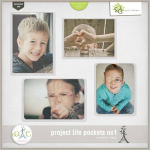 sd_ProjectLifePocketsno1_Preview