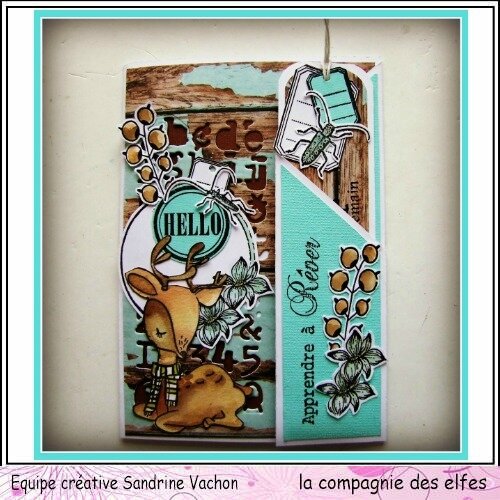 Carte et marque page Sandrine VACHON dt LCDE (1)