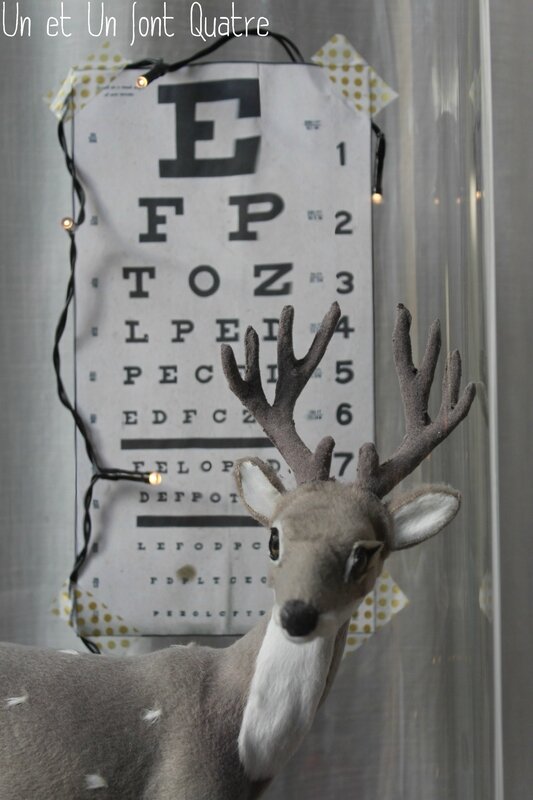Cerf sous globe (4)