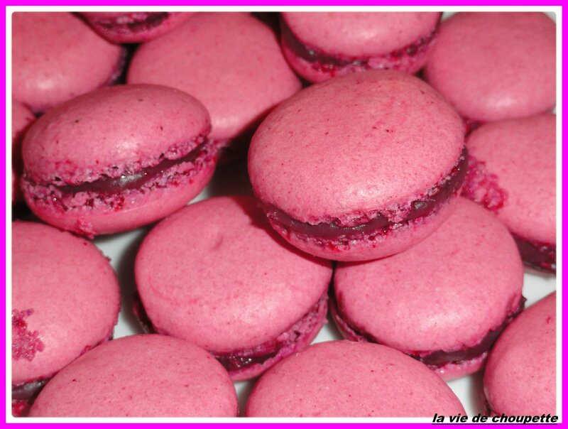 macarons mûres-chocolat blanc-1876