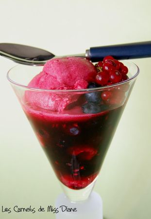 Gadelles_sorbet_fruits