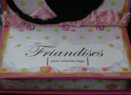 Friandises_pour_minette_sage_D2