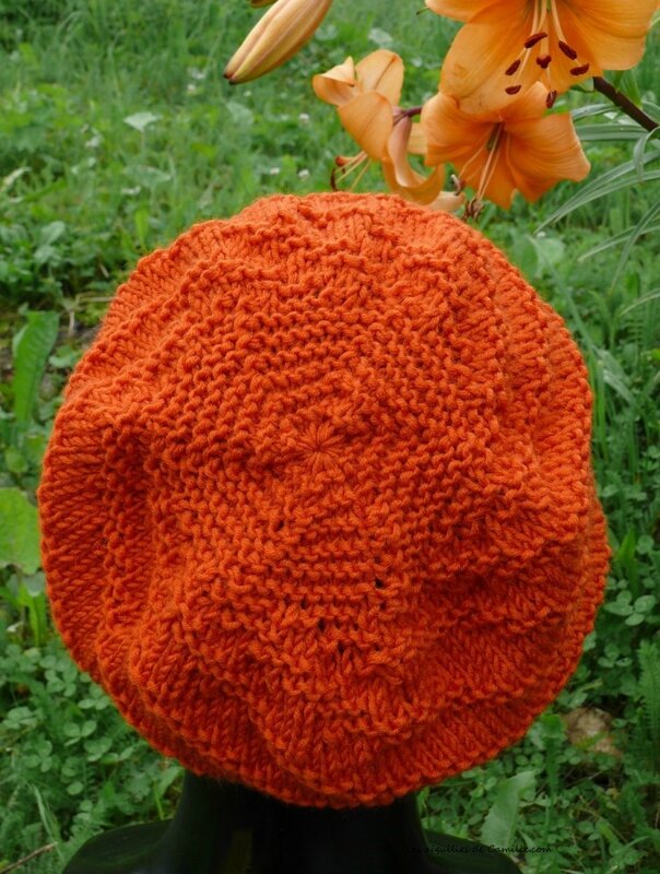 Bonnet Vitamine, dessus