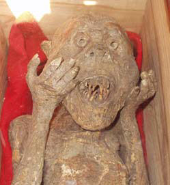 mermaid_mummy6