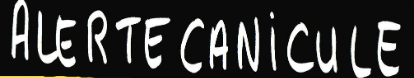 Capture d'écran 2023-08-21 153033