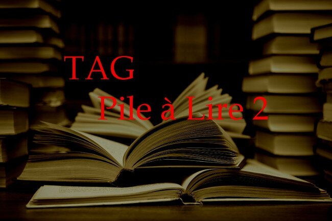 TAG-Pile à Lire 2