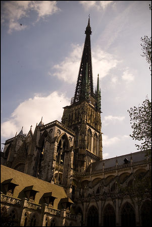 02_Cath_