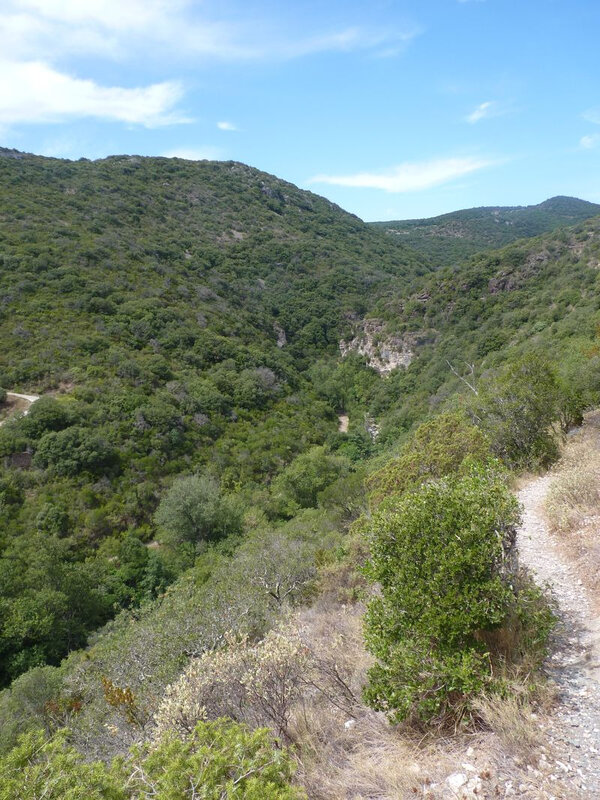 Minerve_21-08-2019(55)