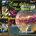 Eau detox aux fleurs de Lilas + citron relaxante euphorisante -Detox water with Lilac flower + lemon