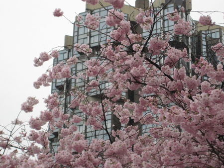 Photo_65345