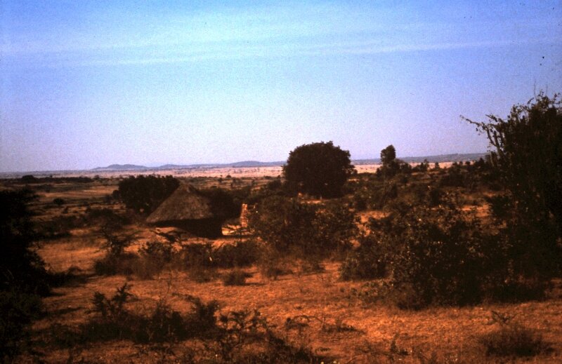 tanzanie 26