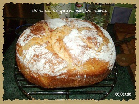 cocotte_cerealescampagne