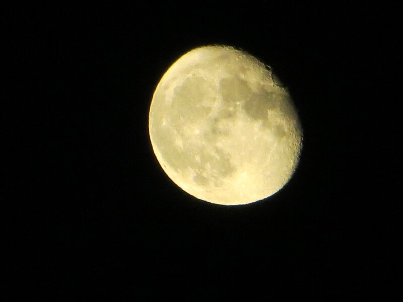 IMG_5880