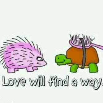 love-will-find-a-way