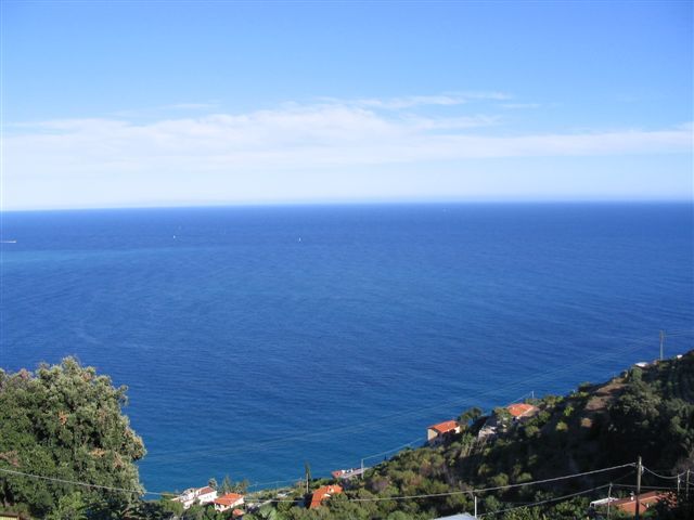 Bordighera Bergon P