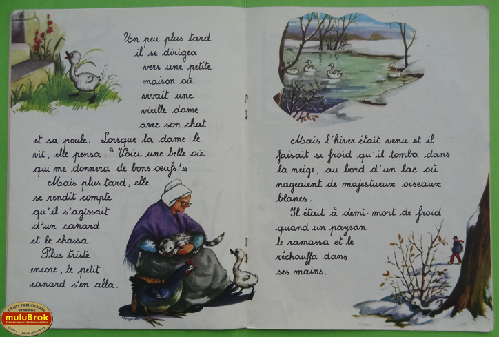 Le vilain petit canard (4)