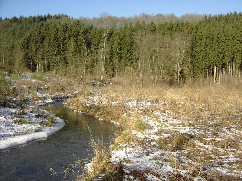 Interreg FV 29-01-06 017
