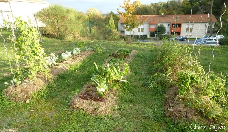 Potager22-10-17