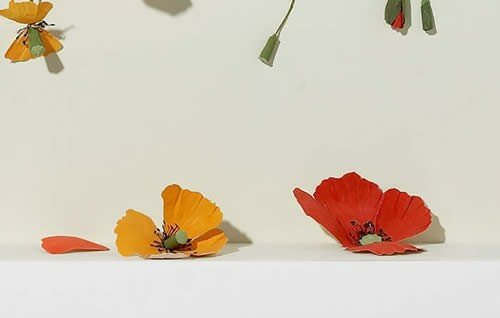 fleurs_d_tailsweb