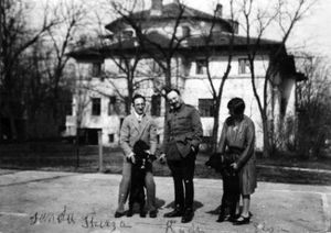 casa miclescu family