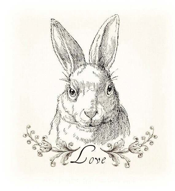 logo lapin