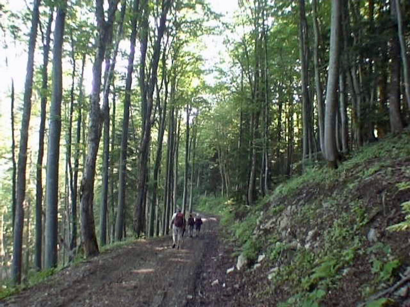 vers_col_du_pr__du_Tour