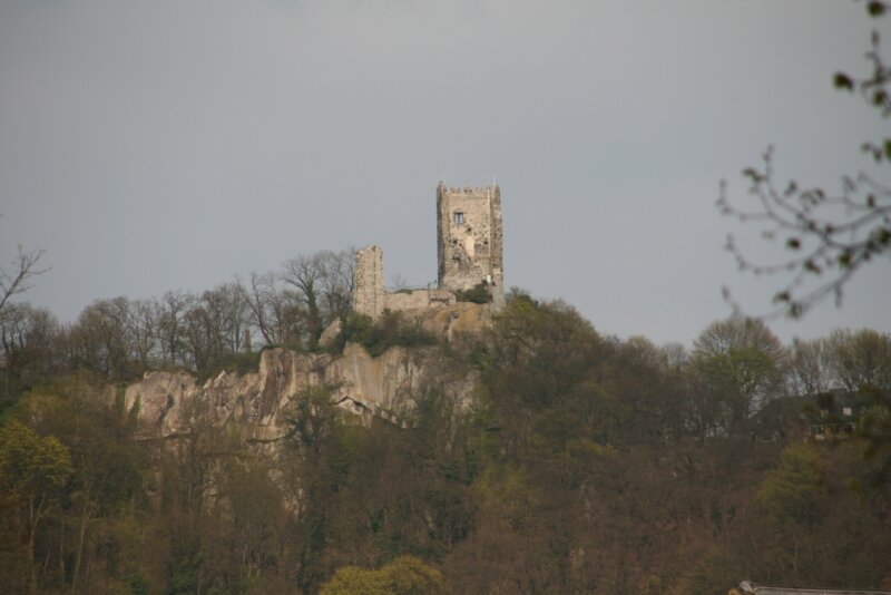 le Drachenfels, château du Moyen Age en ruines surplombant le Rhin