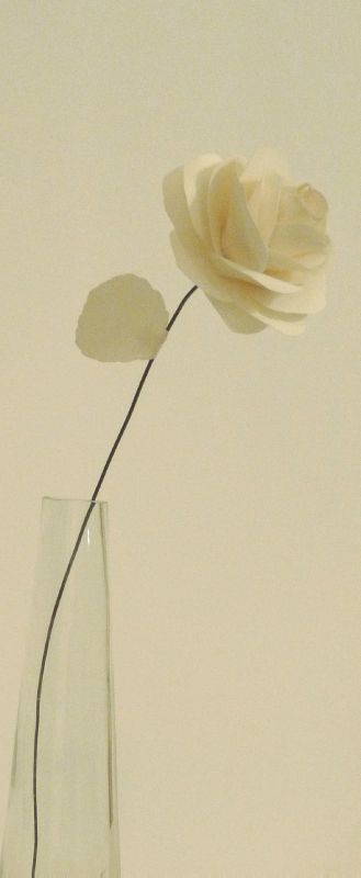 Rose de papier