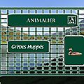 LPO => Grèbes Huppés
