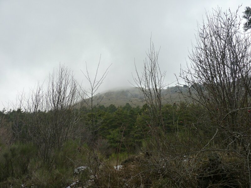 P1090290