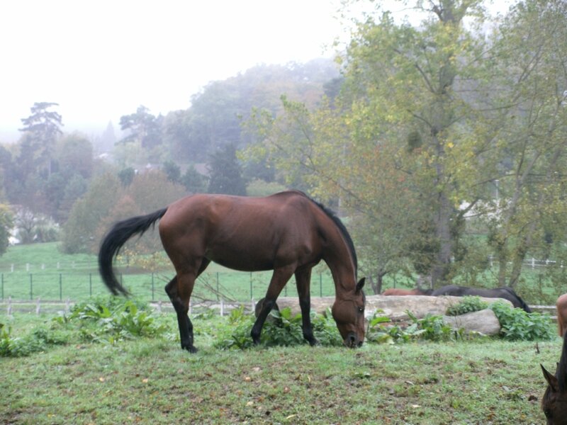 Vers Jouy en Josas 3