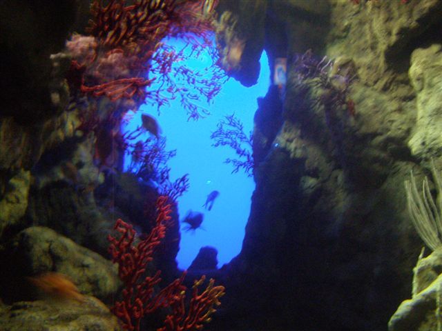 20juin2008 033