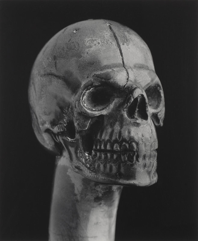 Robert Mapplethorpe (1946-1989), Skull Walking Cane, 1988