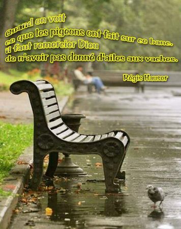 banc_citation