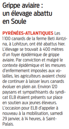 2022 01 28 SO Grippe aviaire