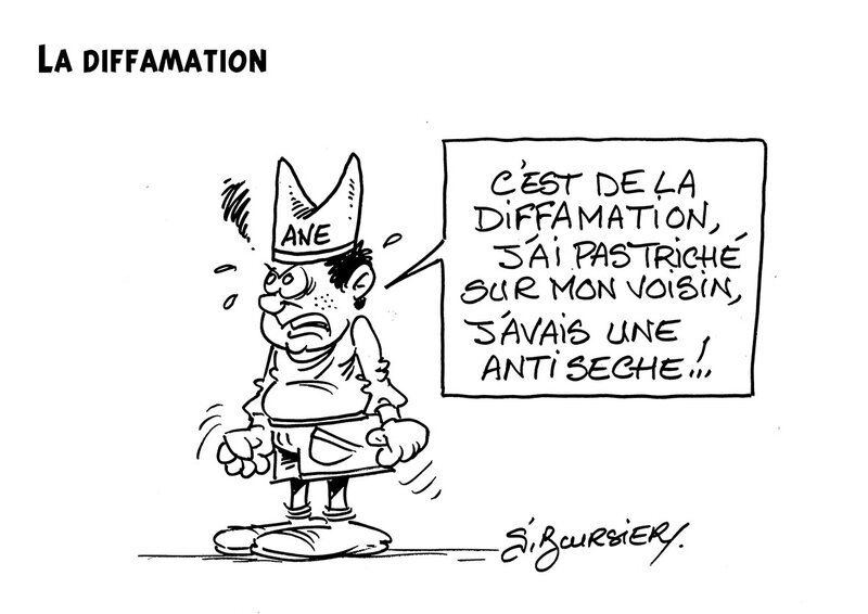 la diffamation web