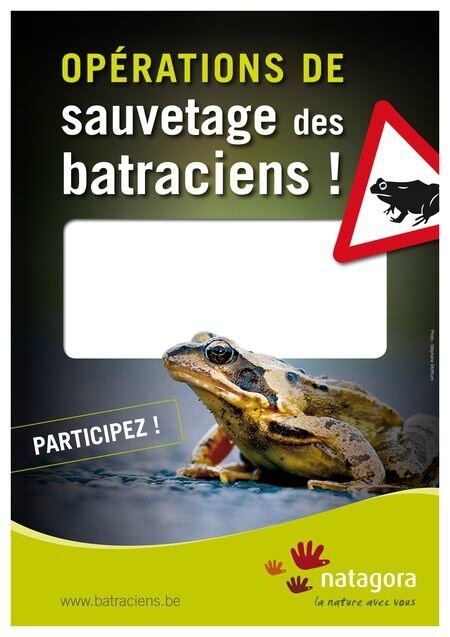 csm_Affiche_Operation-sauvetage-batraciens_5e417917cf